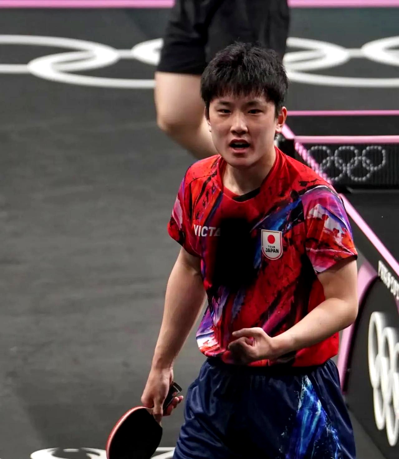 开云体育官网-波兰队鏖战瑞典队，张本智和高光表现的简单介绍