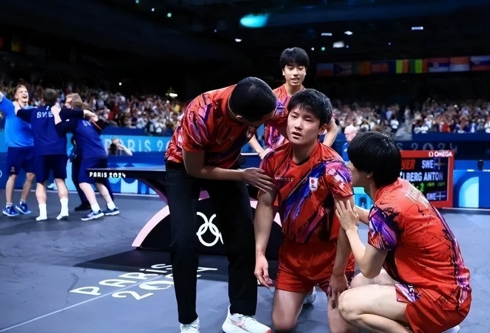 瑞典队横扫日本队，张本智和状态火热